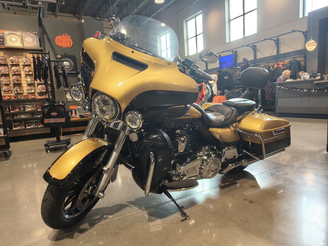 2017 Harley-Davidson Ultra Limited Two-Tone Black Hills Gold/Black Hills Quartz - Photo 2