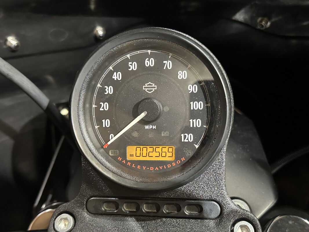 2021 Harley-Davidson Iron 1200 Vivid Black XL1200NS - Photo 9