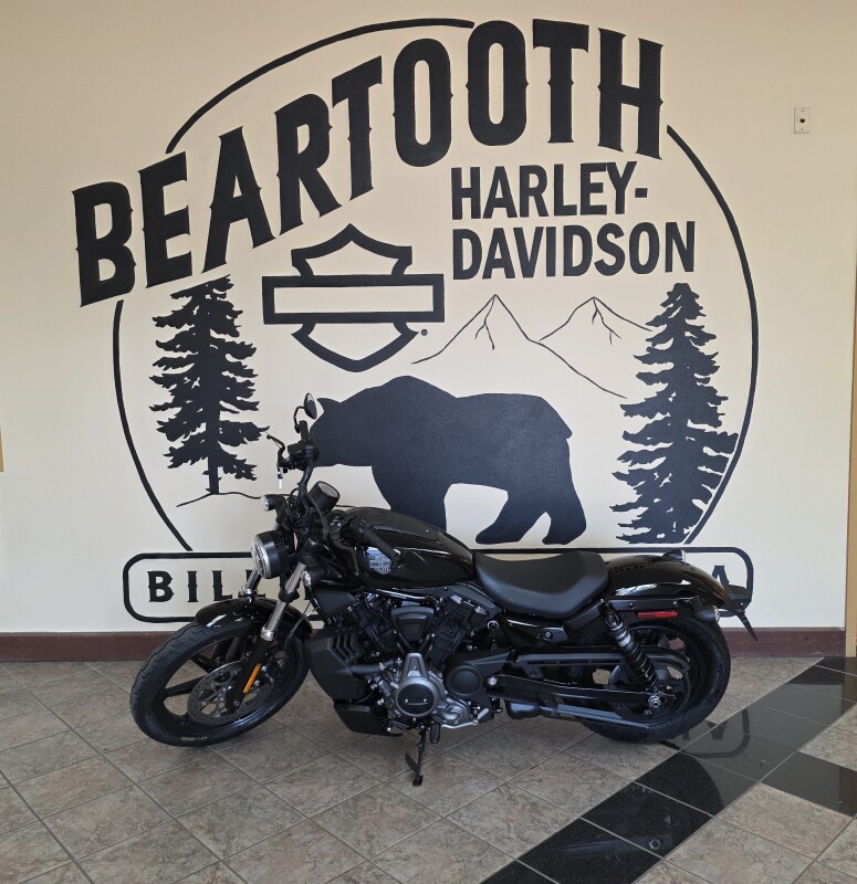 2024 Harley-Davidson Nightster Vivid Black