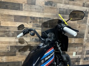 2021 Harley-Davidson® Iron 1200™ Vivid Black XL1200NS thumb 0
