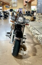 2019 FLDE - Softail Deluxe  thumb 2