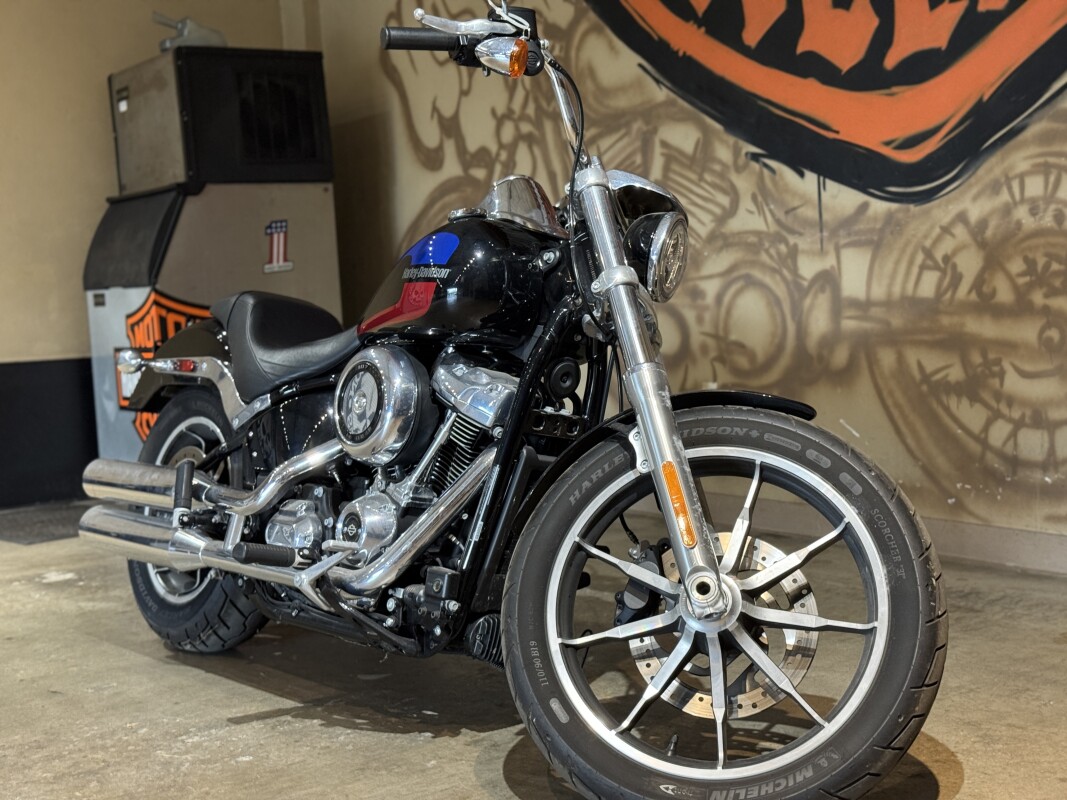 FXLR 2020 Low Rider - Photo 3