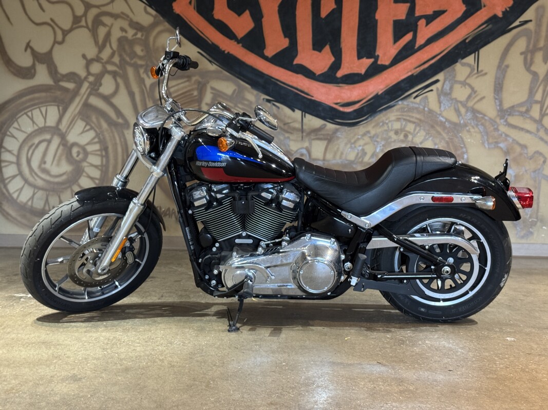FXLR 2020 Low Rider - Photo 9