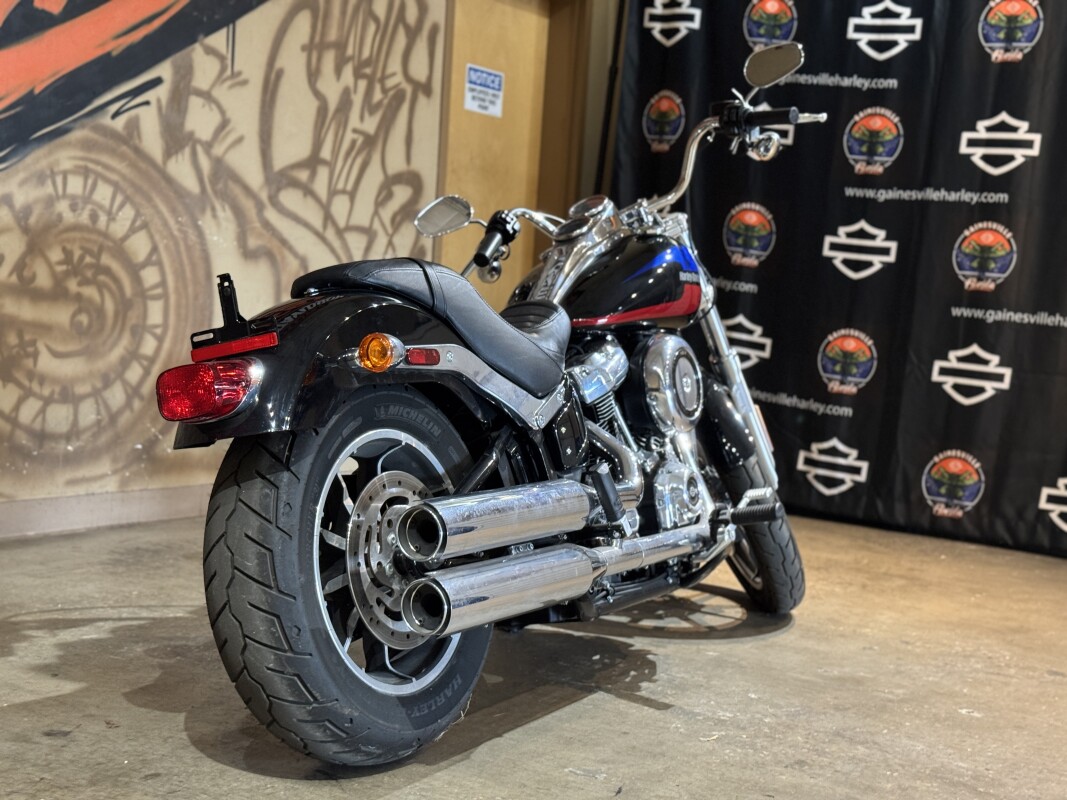 FXLR 2020 Low Rider - Photo 5