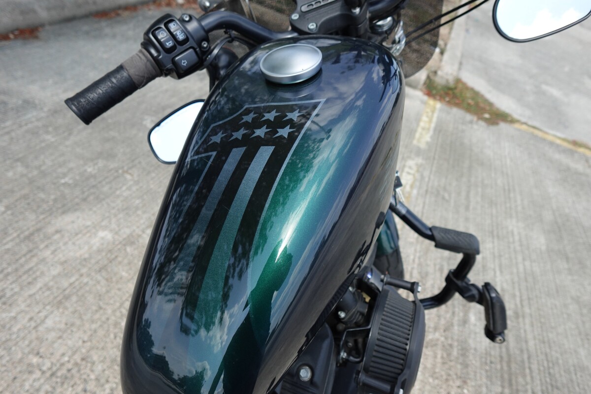 2021 Harley-Davidson Iron 883 XL 883N - Photo 10