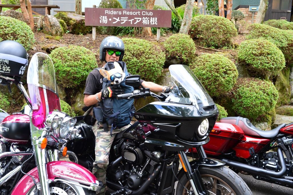 a23990285db2b536f65f1e29d4e9578a_2e82405bf3efc8a5.jpg