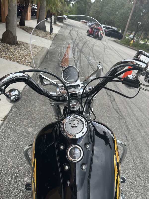Super Glide Custom - Photo 4