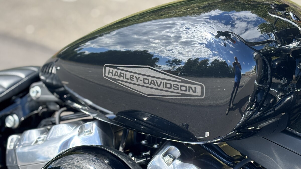 FXST 2020 Softail Standard - Photo 3