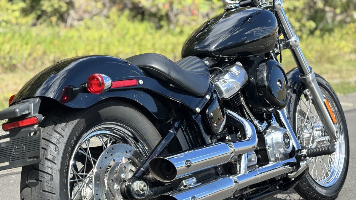 FXST 2020 Softail Standard - Photo 8