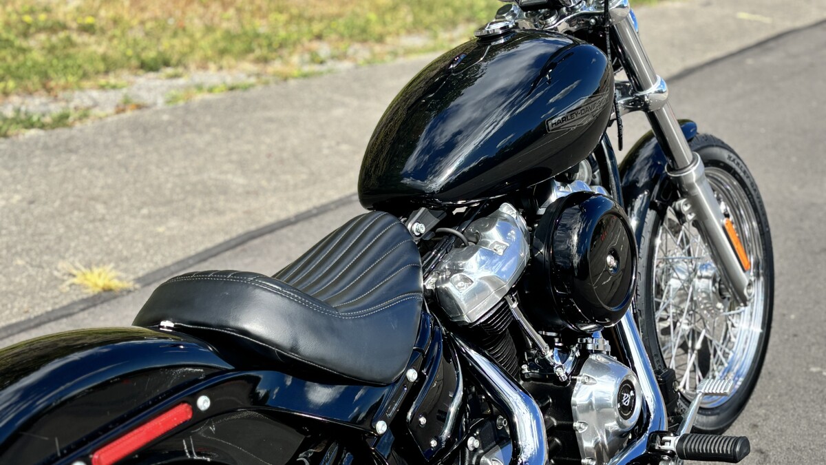 FXST 2020 Softail Standard - Photo 9