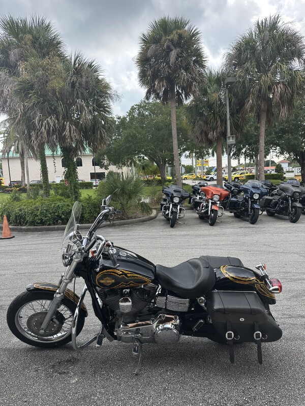 Super Glide Custom - Photo 2