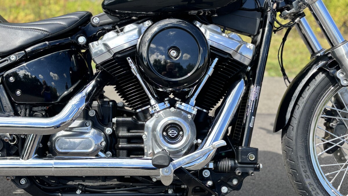 FXST 2020 Softail Standard - Photo 6