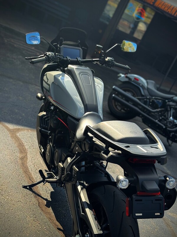 2025 RA1250ST Billiard Gray - Photo 4