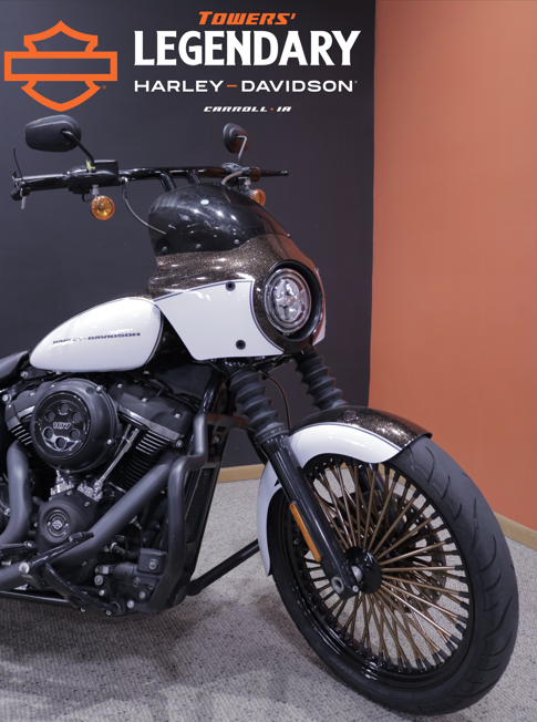 FXBB 2019 Street Bob - Photo 5