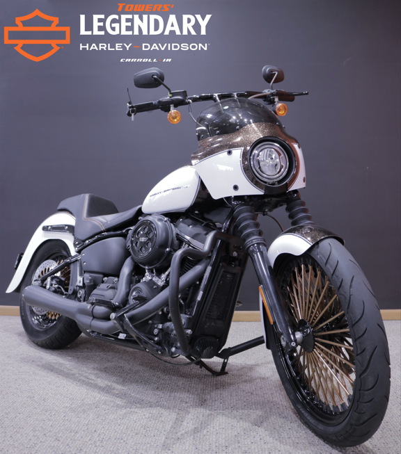 FXBB 2019 Street Bob - Photo 6