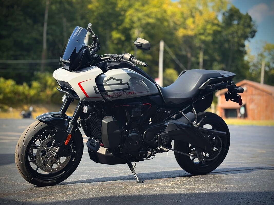2025 RA1250ST Billiard Gray - Photo 2