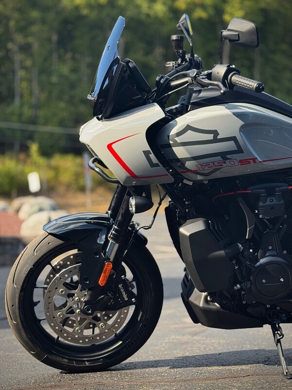2025 RA1250ST Billiard Gray - Photo 9