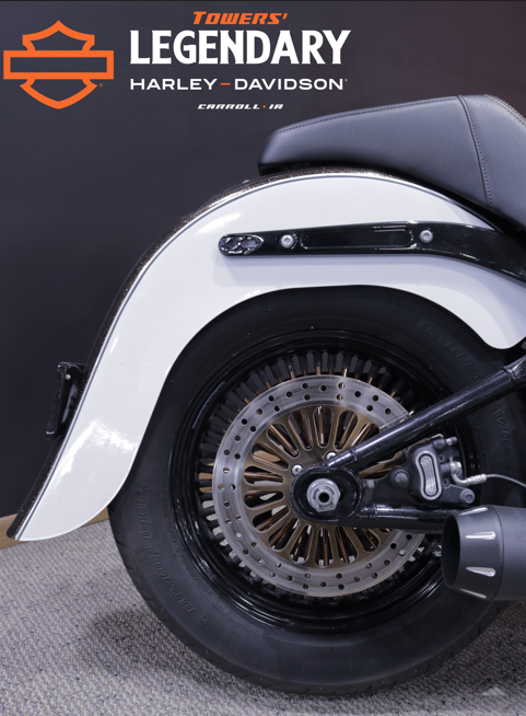 FXBB 2019 Street Bob - Photo 7