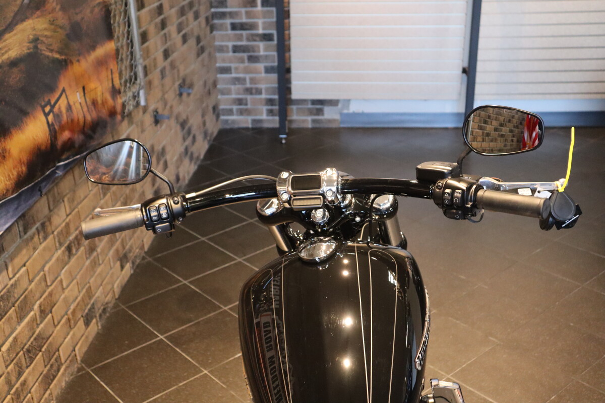 2019 Breakout 114 (FXBRS) - Photo 4