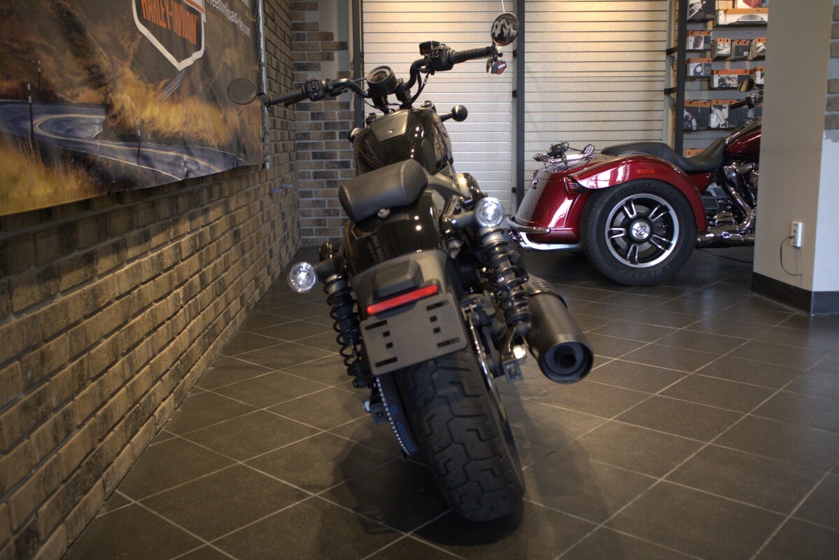 2023 Nightster (RH975) - Photo 2