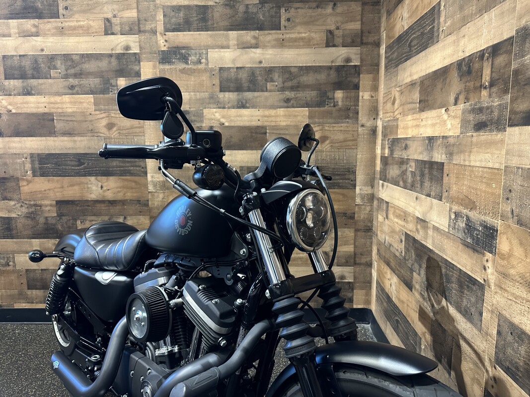 2021 Harley-Davidson Iron 883 Black Denim XL883N - Photo 5