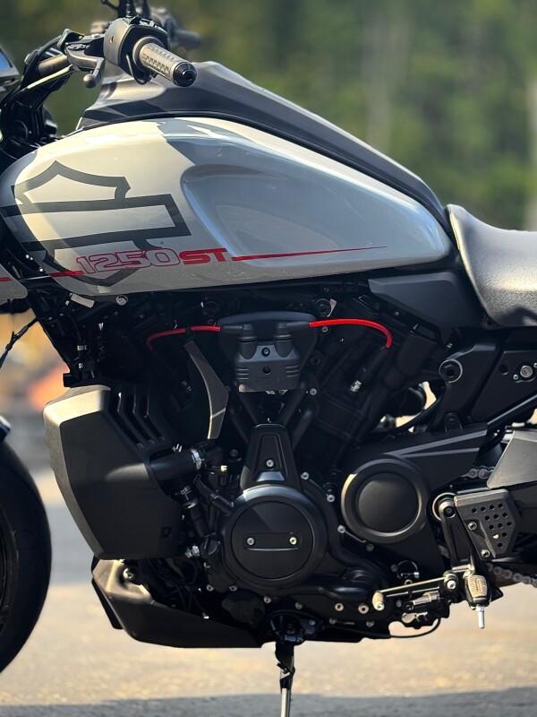 2025 RA1250ST Billiard Gray - Photo 10