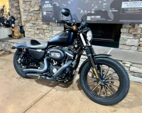 2010 XL883N - 883 Iron thumb 3