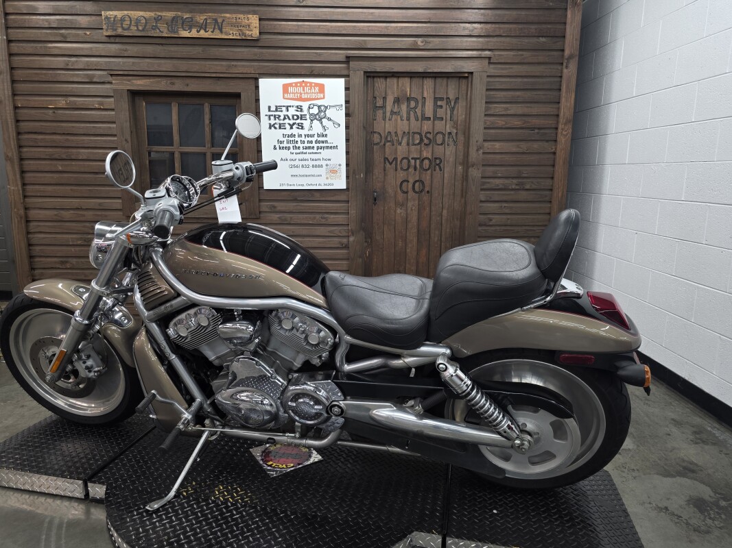 2004 Harley-Davidson V-Rod GOLD/BLACK W/PINSTRIPE - Photo 5