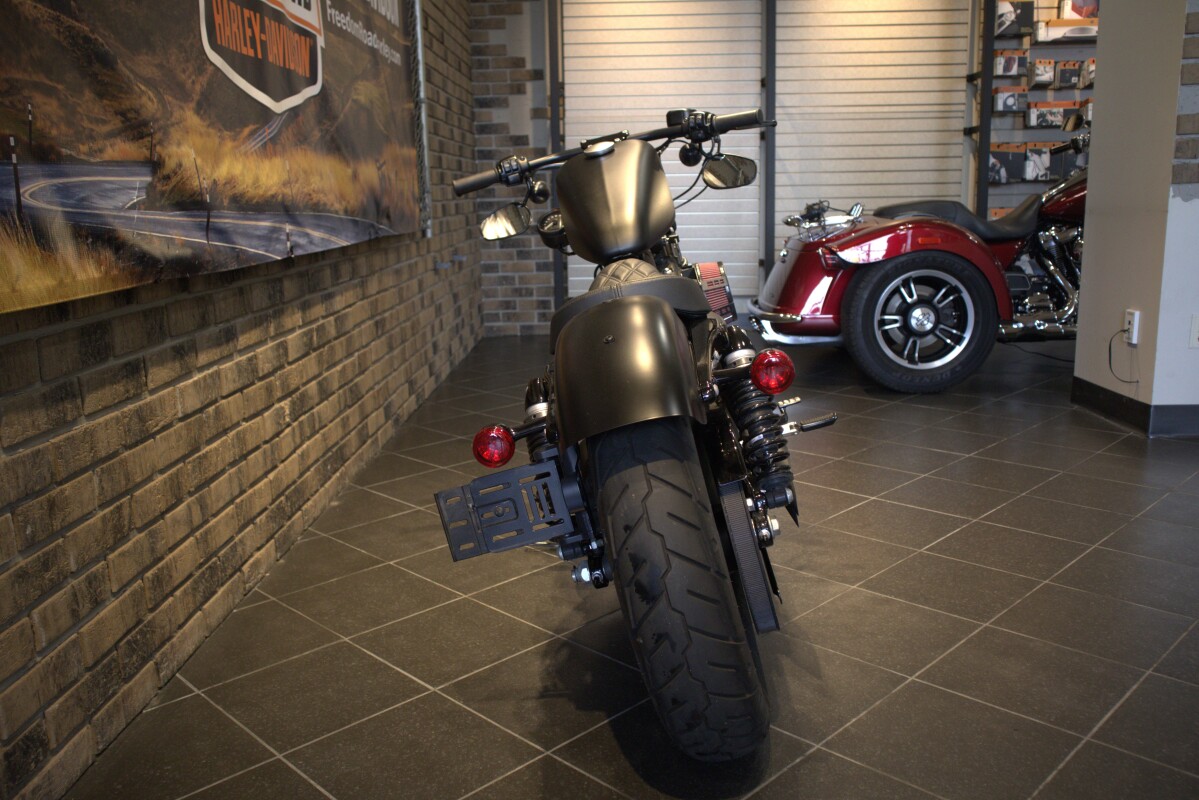 2019 Iron 883 (XL883N) - Photo 2