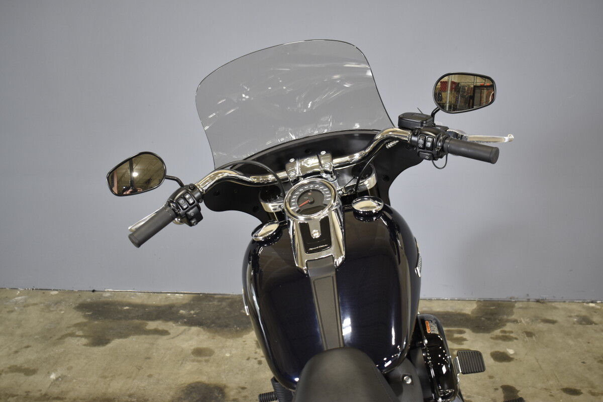 2020 Harley-Davidson Sport Glide FLSB - Photo 8