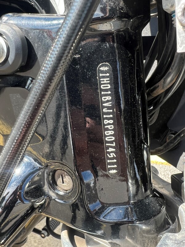 2023 Harley-Davidson Softail Standard Vivid Black - Photo 6