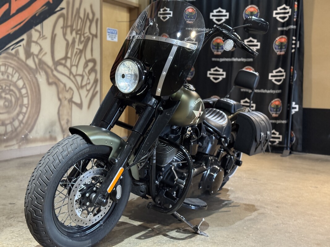 FLSS 2017 Softail Slim S - Photo 5