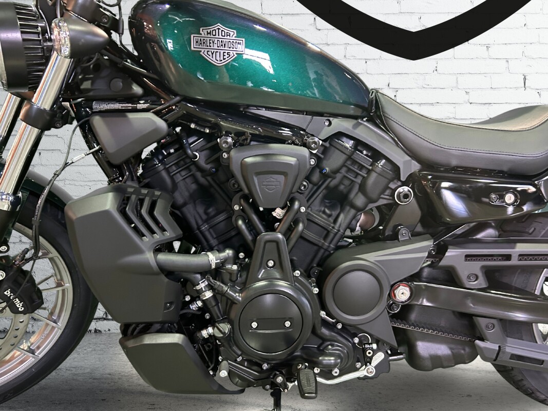 2025 Harley-Davidson Nightster Snake Venom - Photo 7