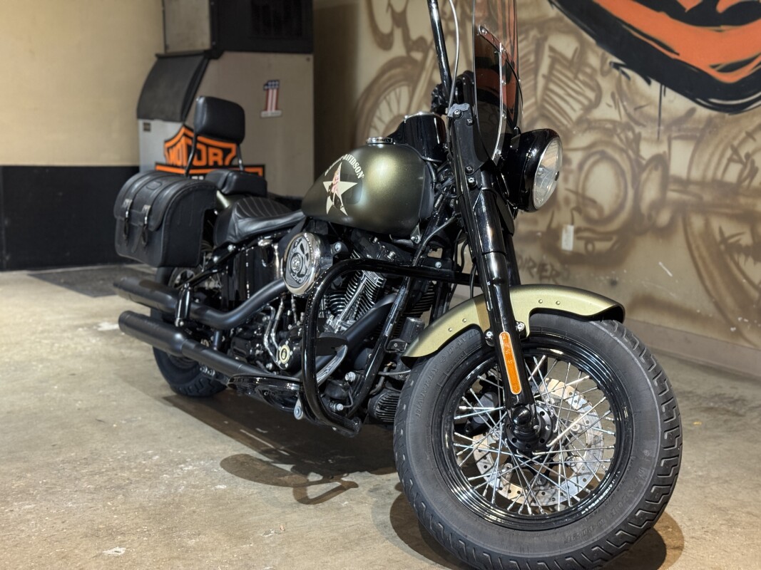 FLSS 2017 Softail Slim S - Photo 3
