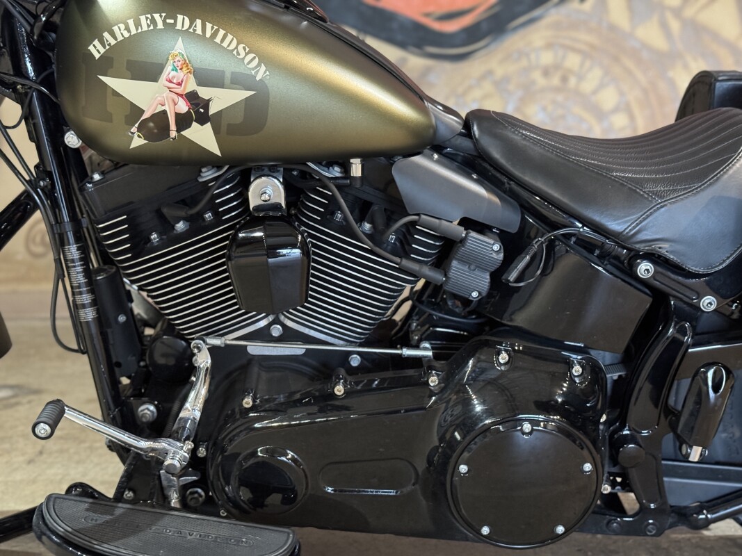 FLSS 2017 Softail Slim S - Photo 9