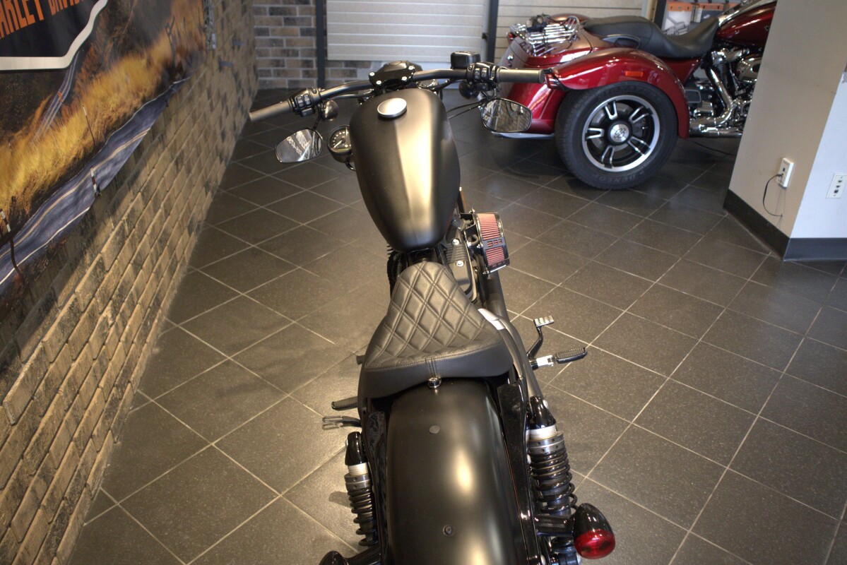2019 Iron 883 (XL883N) - Photo 3