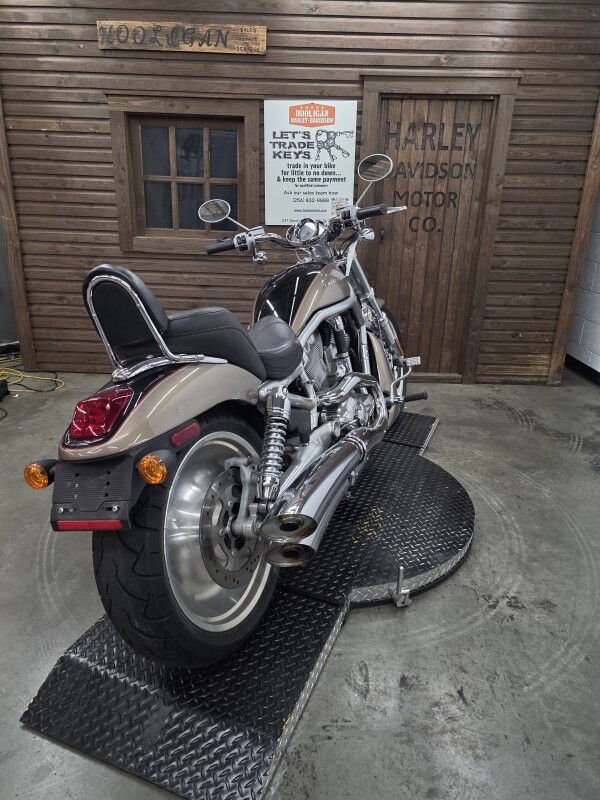 2004 Harley-Davidson V-Rod GOLD/BLACK W/PINSTRIPE - Photo 3