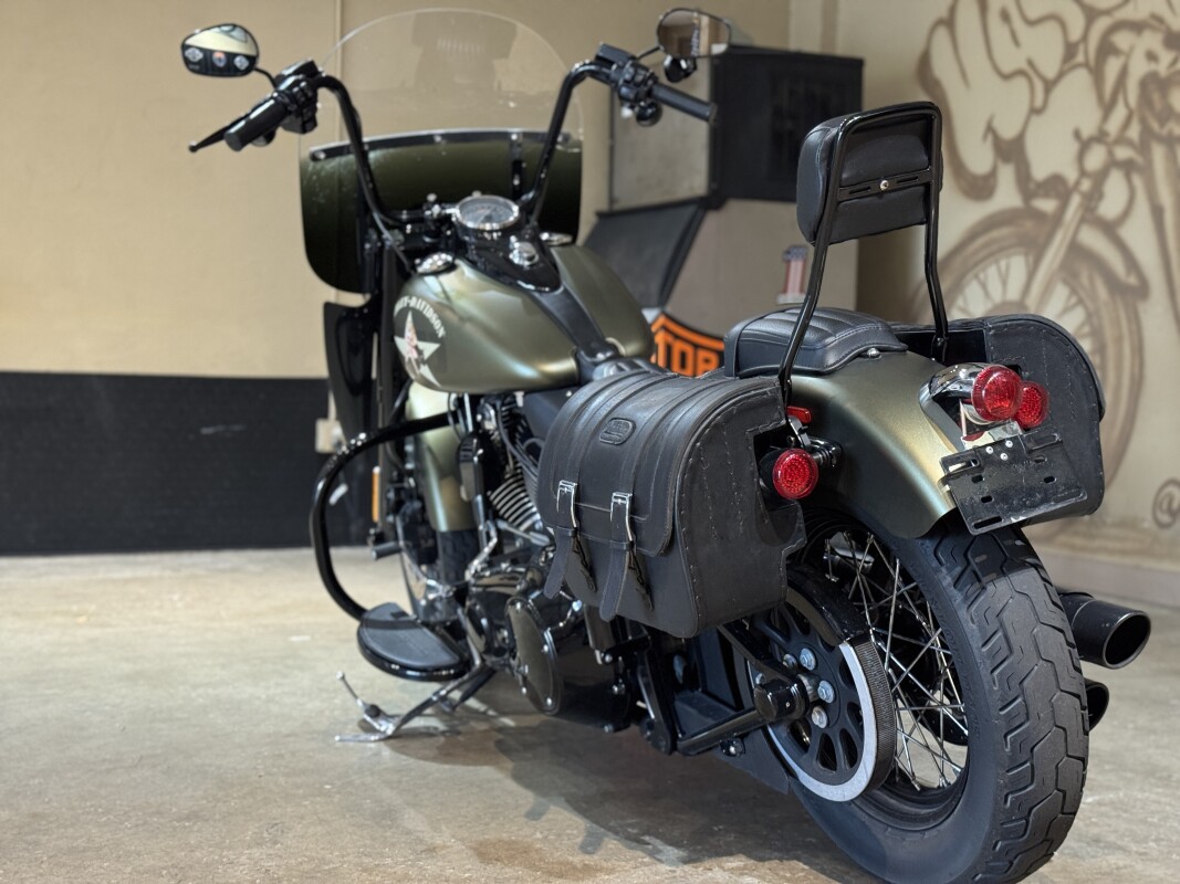 FLSS 2017 Softail Slim S - Photo 7