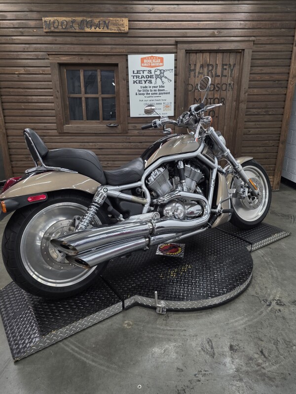 2004 Harley-Davidson V-Rod GOLD/BLACK W/PINSTRIPE - Photo 2