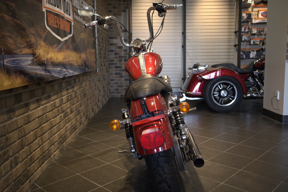 2007 Sportster Custom (XL1200C) - Photo 2