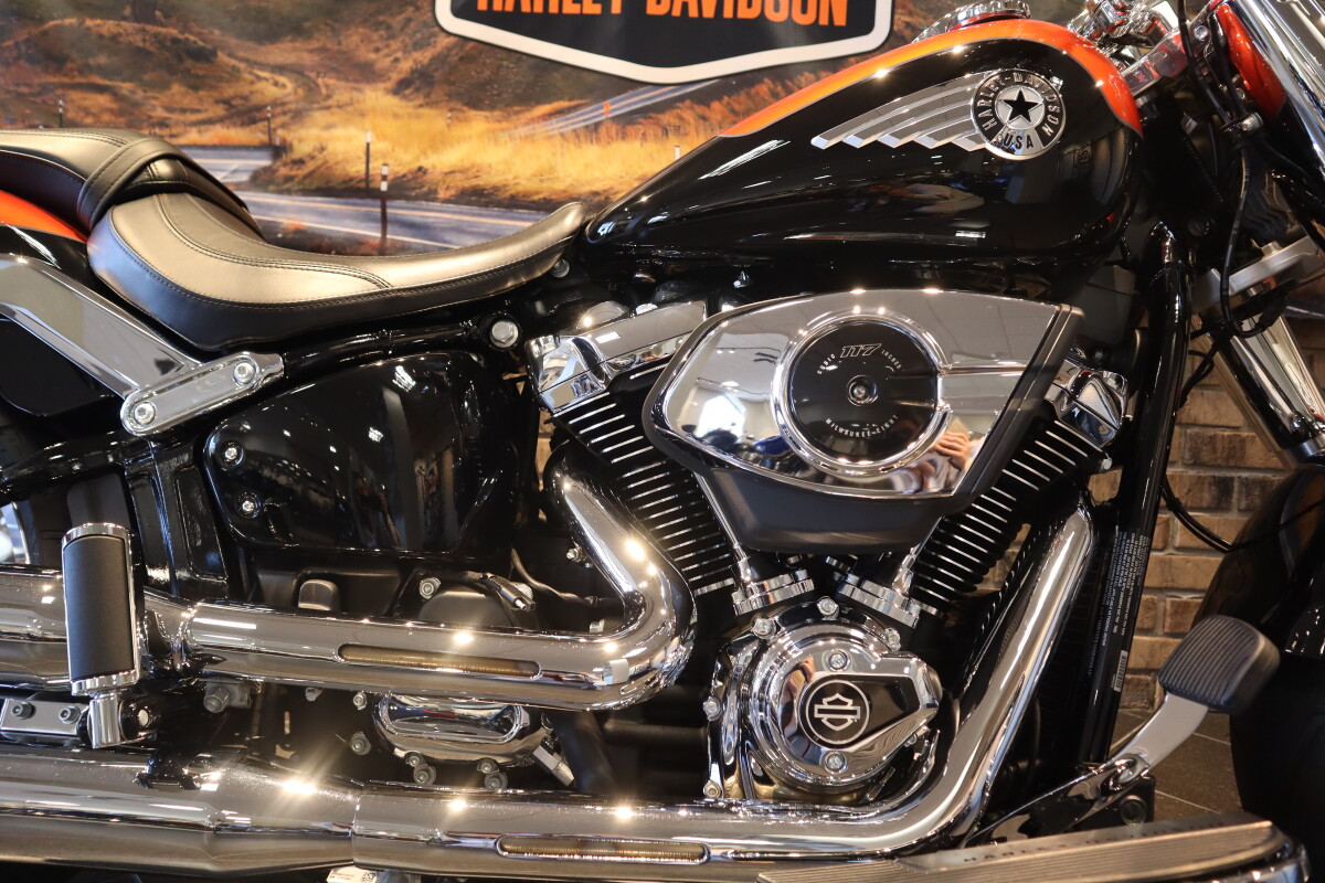 2025 Fat Boy (FLFB) - Photo 6