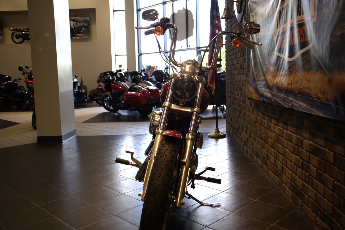 2007 Sportster Custom (XL1200C) - Photo 5