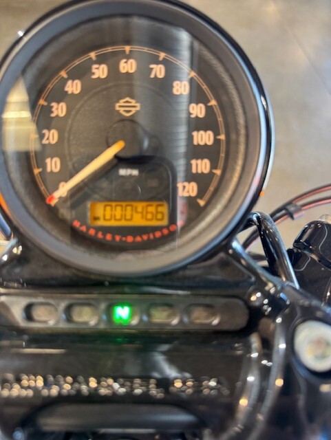 2020 Harley Davidson Forty-Eight XL1200X - Photo 6