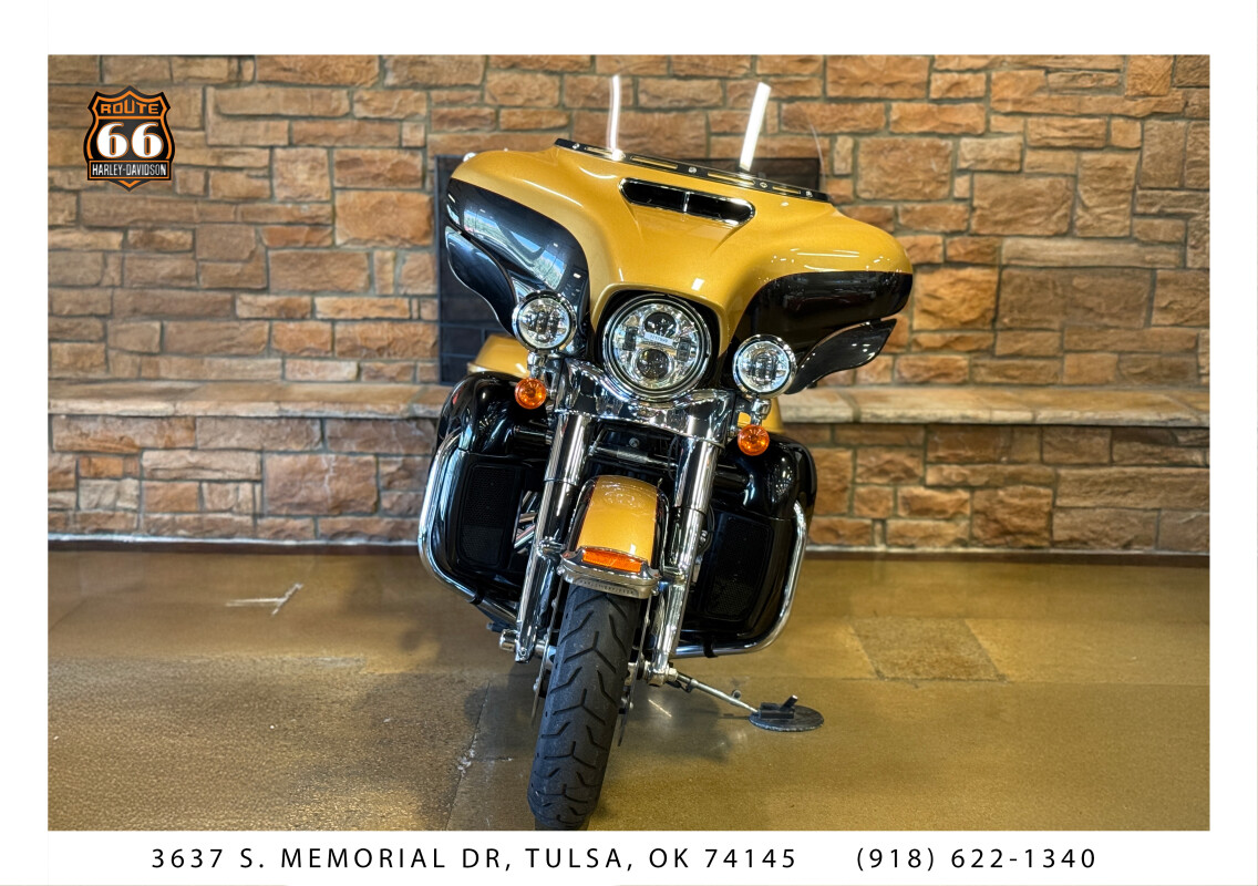 2017 Harley-Davidson Ultra Limited Two-Tone Black Hills Gold/Black Quartz - Photo 2