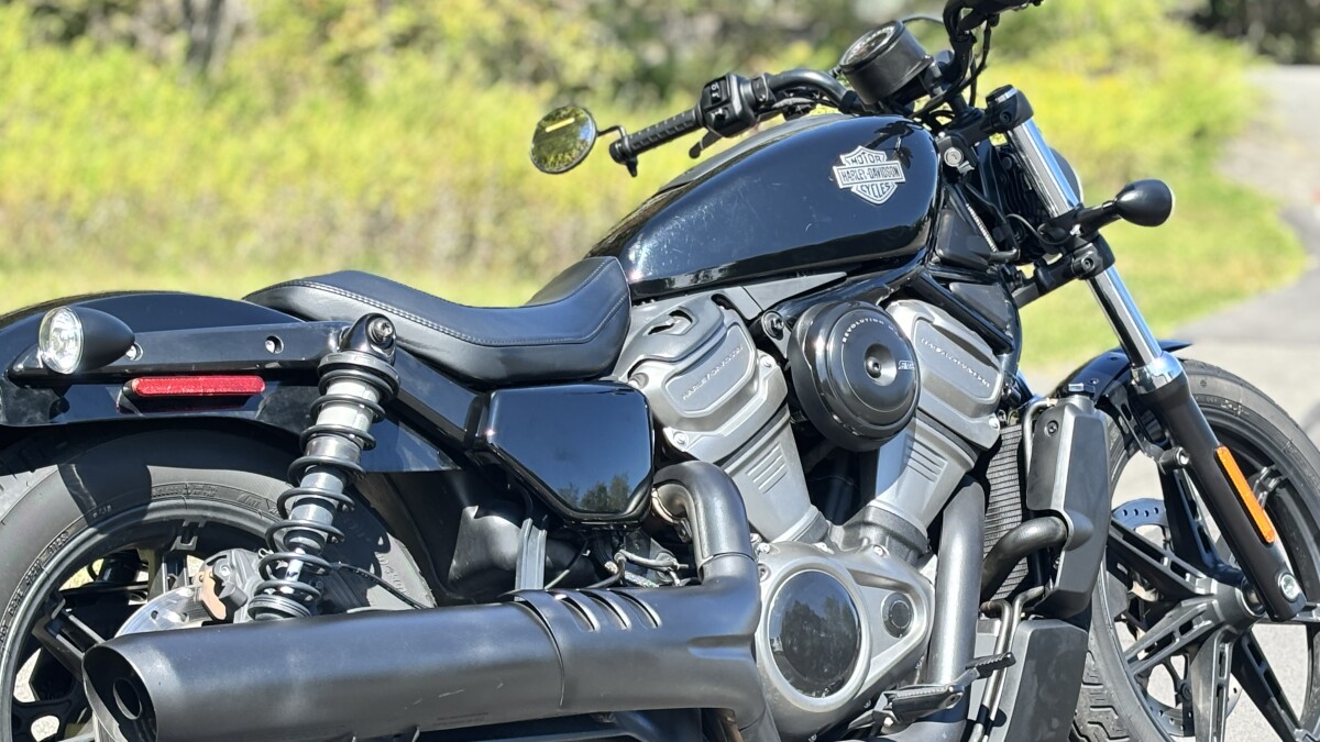 RH975 2024 Nightster - Photo 6