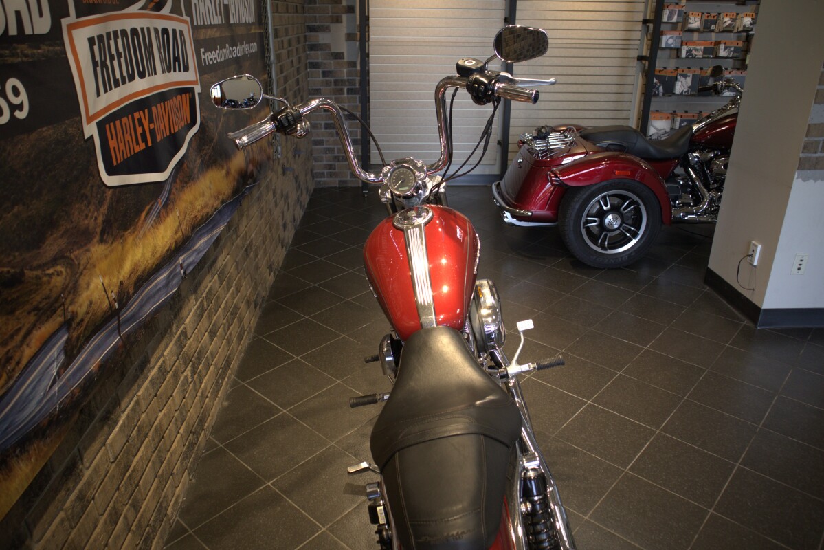 2007 Sportster Custom (XL1200C) - Photo 3