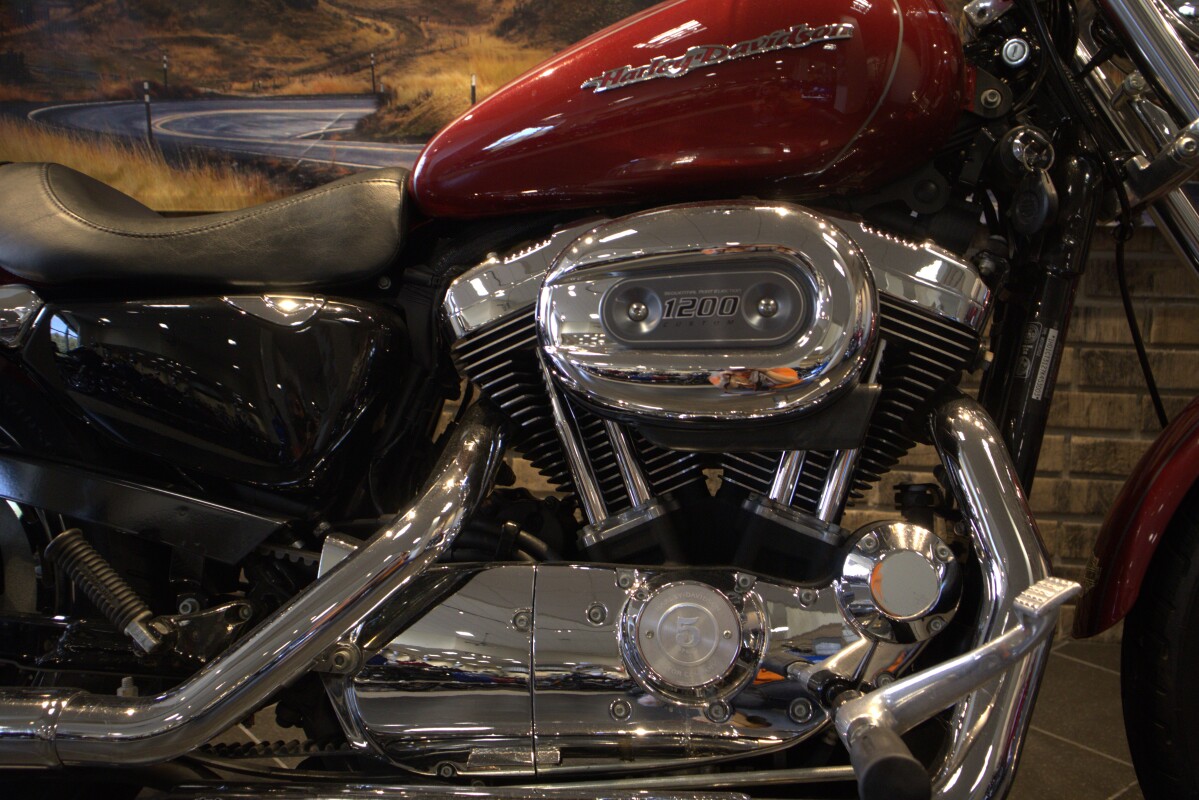 2007 Sportster Custom (XL1200C) - Photo 6