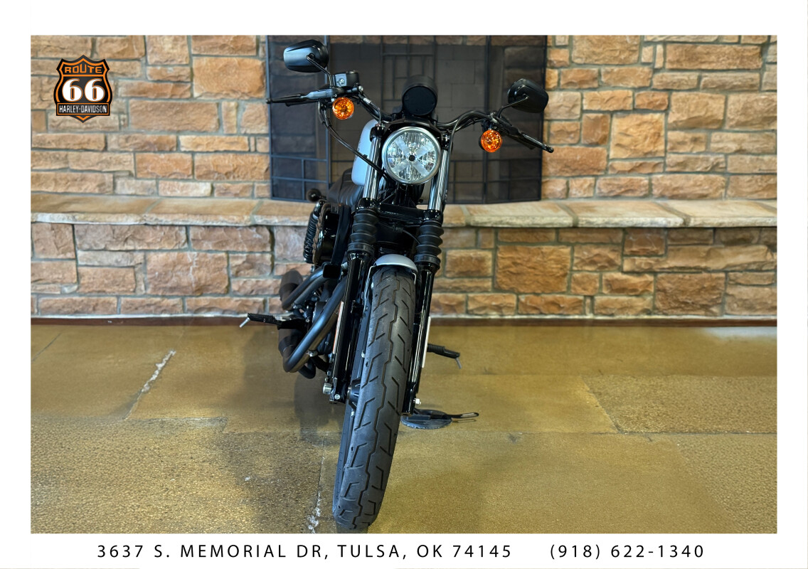 2020 Harley-Davidson Iron 883 Barracuda Silver Denim - Photo 2