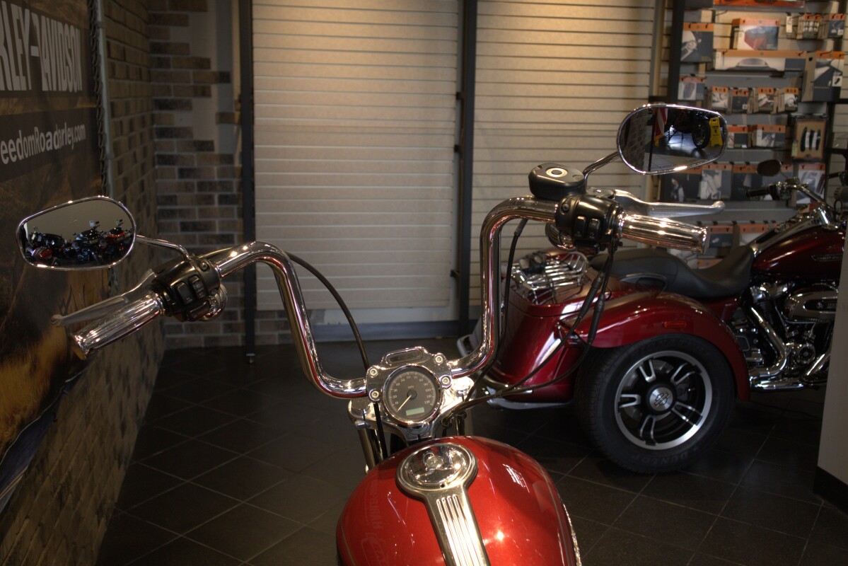 2007 Sportster Custom (XL1200C) - Photo 4
