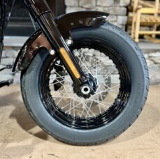 2021 FLSL - Softail Slim thumb 1